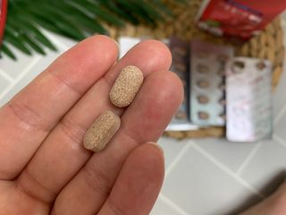 댑빵이님이 올린 리뷰 사진 2