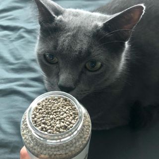 미우미우님이 올린 리뷰 사진 1
