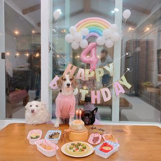 콩비지맘님이 올린 리뷰 사진 1