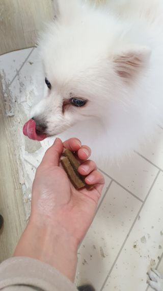 My Pet Care 천연단백질 치아건강에 개좋아 — 5점을 준 리뷰어가 2020년 12월 올린 사용 사진
