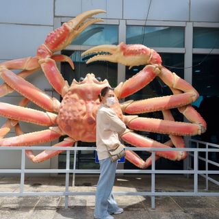아르보노브라 아르보노 낮노밤노 셔츠 — 5점을 준 리뷰어가 2021년 5월 올린 사용 사진