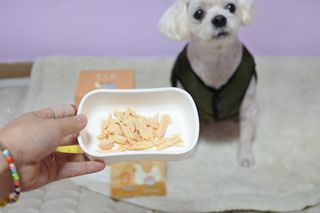 도그퓨어 푸드닭 강아지 닭고기 통살 애견간식 오리지널/차전자피/초록입홍합 — 5점을 준 리뷰어가 2021년 10월 올린 사용 사진