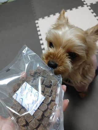 My Pet Care 천연단백질 관절건강에 개좋아 — 5점을 준 리뷰어가 2021년 1월 올린 사용 사진
