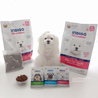 설꽁주님이 올린 리뷰 사진 1