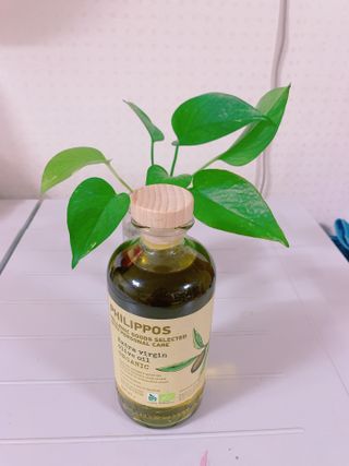 이혜승님이 올린 리뷰 사진 1