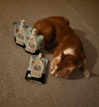 오둥이맘님이 올린 리뷰 사진 1