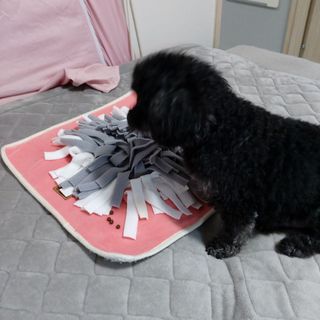 쓔리님이 올린 리뷰 사진 3