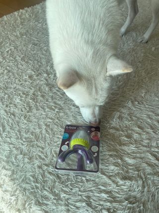 스쿰비님이 올린 리뷰 사진 3