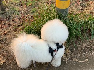 용용맹님이 올린 리뷰 사진 3
