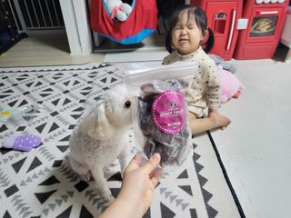주여니이님이 올린 리뷰 사진 2
