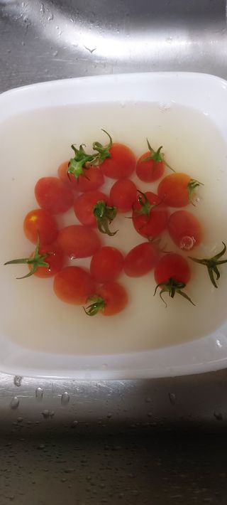 레드닥터  대추방울토마토 + 매콤새콤달콤 레드닥터 토마토 소스 — 4점을 준 리뷰어가 2022년 12월 올린 사용 사진