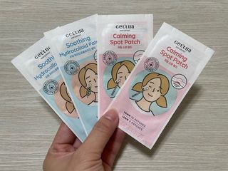 다콩님이 올린 리뷰 사진 2