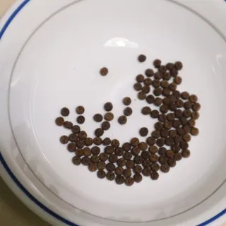해피님이 올린 리뷰 사진 3