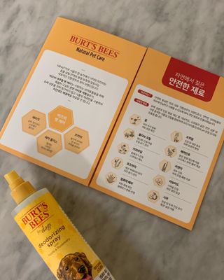 비베숑님이 올린 리뷰 사진 3