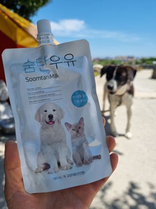 호두마미님이 올린 리뷰 사진 3