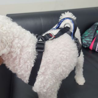K케이님이 올린 리뷰 사진 1