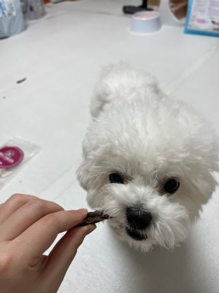 린짱님이 올린 리뷰 사진 4