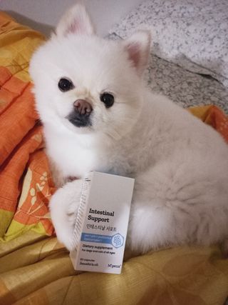 두부맘님이 올린 리뷰 사진 1