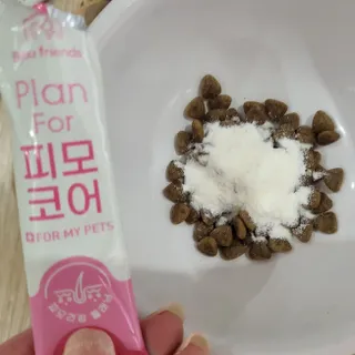 댑빵이님이 올린 리뷰 사진 2