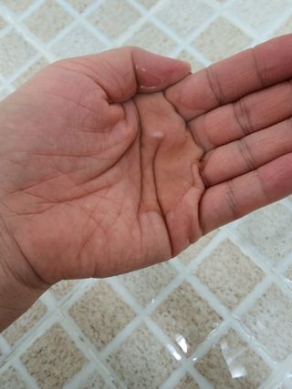 황금나무님이 올린 리뷰 사진 4