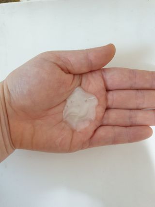 프리마인 더이상 뻣뻣하고 효과없는 탈모샴푸는 NO. 근본부터 케어하는 셀베이스 그린티샴푸(500ml) — 5점을 준 리뷰어가 2023년 5월 올린 사용 사진