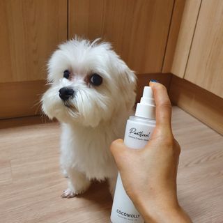 미민님이 올린 리뷰 사진 1