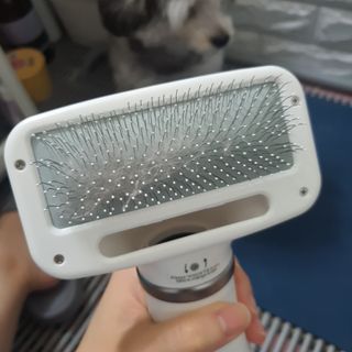 아베크 펫 강아지 고양이 애견 에어 브러쉬 드라이기 올인원 — 5점을 준 리뷰어가 2021년 7월 올린 사용 사진