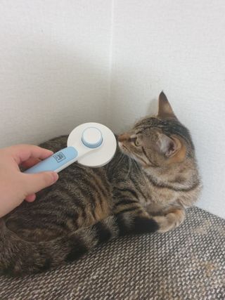 5냥2멍님이 올린 리뷰 사진 3