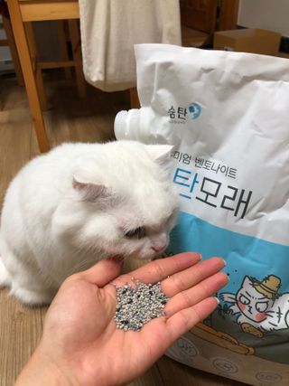 지연님이 올린 리뷰 사진 3