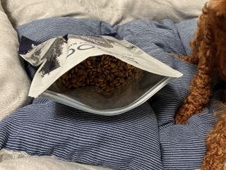 [푸디웜] 라포그 리얼인섹트 소프트키블 스킨 1KG — 5점을 준 리뷰어가 2022년 9월 올린 사용 사진