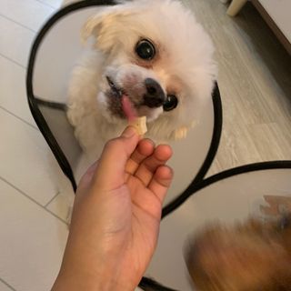 ZiunYang님이 올린 리뷰 사진 3