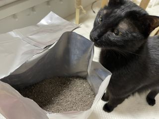 핑크천사님이 올린 리뷰 사진 2