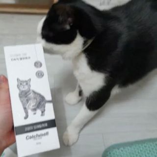 묨묨님이 올린 리뷰 사진 3