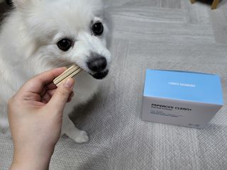 페페로니 클린플러스 덴탈오리껌 10g x 14p — 5점을 준 리뷰어가 2021년 7월 올린 사용 사진