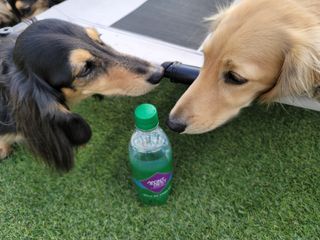 몽베스트 Montbest with Sparkling water Plain 20병 — 5점을 준 리뷰어가 2021년 11월 올린 사용 사진