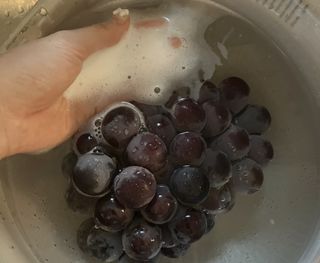 에티튜드 천연 젖병세정제 무향 아토베이비 폼타입 (295ml) 천연 친환경 비건 — 5점을 준 리뷰어가 2022년 8월 올린 사용 사진