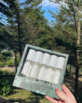 디어포레스트 [5개세트] 숲속의 하루 패브릭미스트 (섬유향수/ 룸스프레이) 50ml 5개 — 3점을 준 리뷰어가 2022년 9월 올린 사용 사진