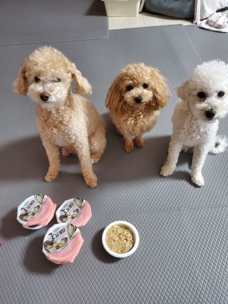 모모맘님이 올린 리뷰 사진 2