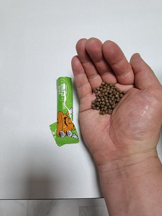 돌삐님이 올린 리뷰 사진 4