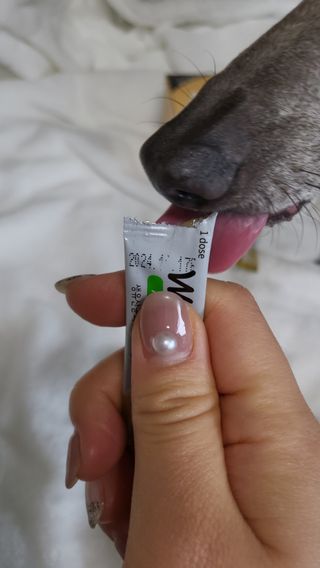잭슨쓰님이 올린 리뷰 사진 2