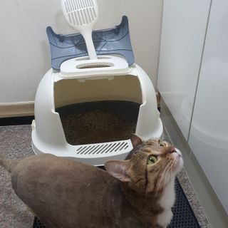 야옹이야옹이님이 올린 리뷰 사진 3