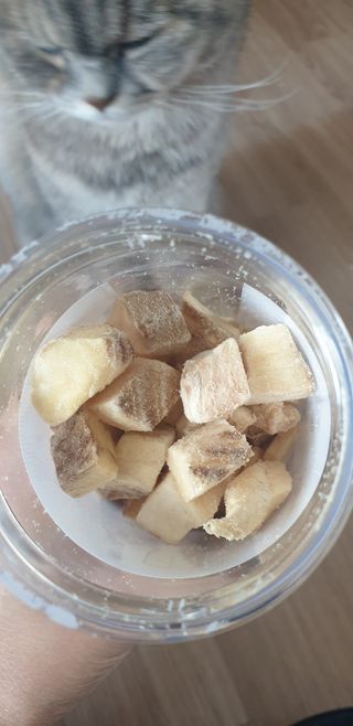 부르르펫 야미트릿 틸라피아 60g — 5점을 준 리뷰어가 2021년 11월 올린 사용 사진