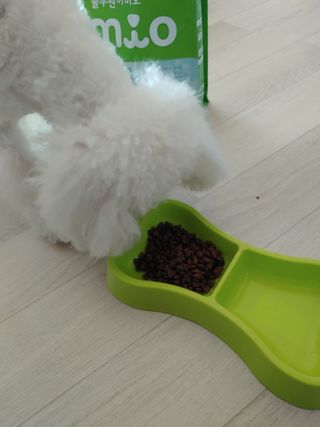 햇님달님님이 올린 리뷰 사진 4