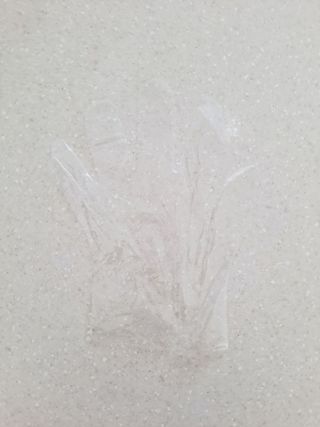 제라늄님이 올린 리뷰 사진 4