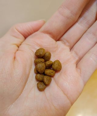 치르치르님이 올린 리뷰 사진 3