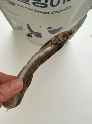 [펫시밀] 원물그대로 영양듬뿍 동결건조 왕북어트릿300g,왕치킨트릿400g,열빙어트릿300g 대용량 간식 — 5점을 준 리뷰어가 2023년 5월 올린 사용 사진