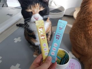 페페로니 잘 먹는 캣츄 - 무항생제 닭고기 12개 + 원양선 참치 12개 — 3점을 준 리뷰어가 2021년 8월 올린 사용 사진
