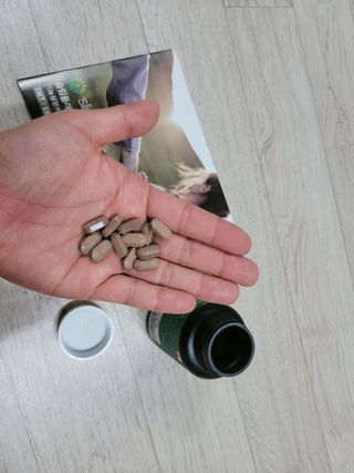 슬림플래닛 녹차카테킨 500mg 애프터밀 — 5점을 준 리뷰어가 2021년 9월 올린 사용 사진