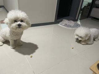 지예지예❤️님이 올린 리뷰 사진 2