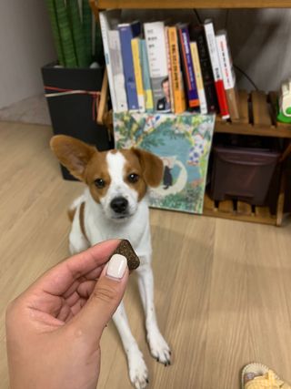KyoungWonJang님이 올린 리뷰 사진 3